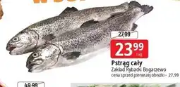 E.Leclerc Pstrąg cały Zakład Rybacki Bogaczewo oferta