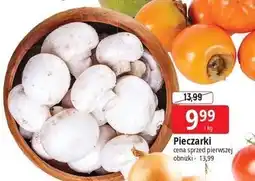 E.Leclerc Pieczarki oferta