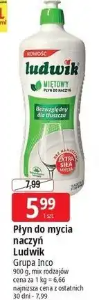 E.Leclerc Płyn do mycia naczyń miętowy Ludwik oferta