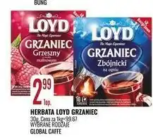Grzaniec zbójnicki na ogniu Loyd Tea