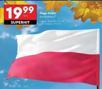 Flaga Polski na drzewcu