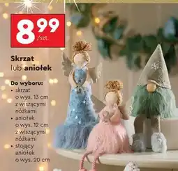Biedronka Skrzat lub aniołek oferta