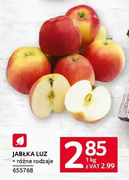Selgros Jabłka oferta