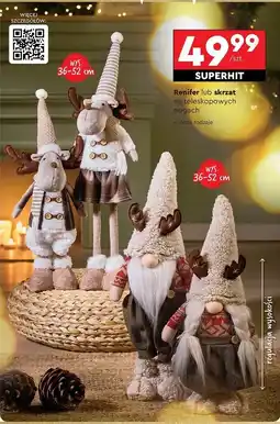 Biedronka Skrzat na teleskopowych nogach oferta