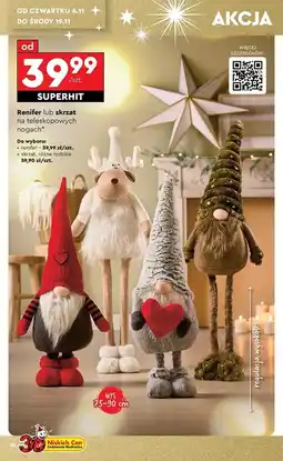 Biedronka Skrzat z teleskopowymi nogami oferta