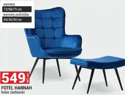 Merkury Market Fotel oferta