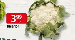 E.Leclerc Kalafior oferta