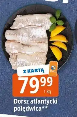 E.Leclerc Dorsz oferta