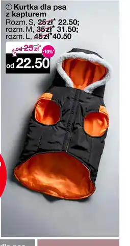 Woolworth Kurtka dla psa S! oferta