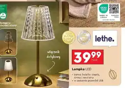 Biedronka Lampka Lethe oferta