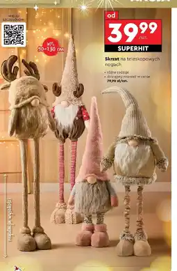 Biedronka Skrzat C &C oferta