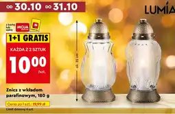 Biedronka Znicz Lumia oferta