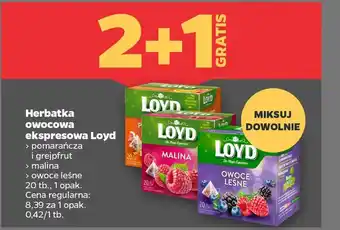 Netto Herbatka owocowa ekspresowa Loyd oferta