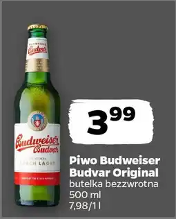 Netto Piwo Budweiser Budvar Original oferta