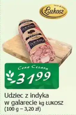 Cezar Delikatesy Udziec z indyka w galarecie łukosz oferta