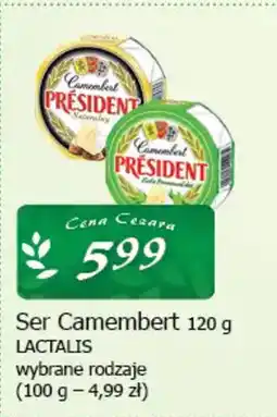 Cezar Delikatesy Ser camembert lactalis oferta