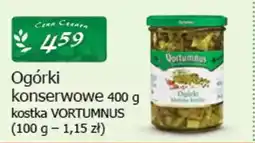 Cezar Delikatesy Ogórki konserwowe kostka vortumnus oferta