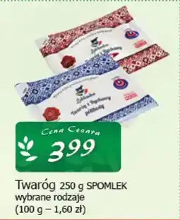 Cezar Delikatesy Twaróg spomlek oferta