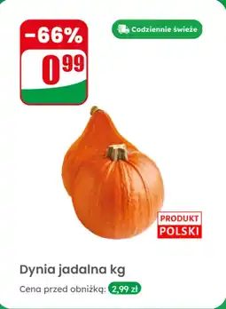 Dino Dynia jadalna kg Dino oferta