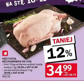 Gęś z szyją bez podrobów