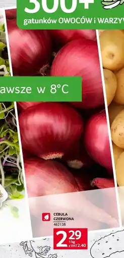 Selgros Cebula czerwona oferta