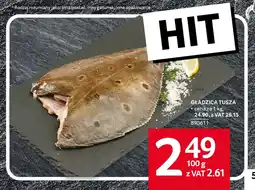 Selgros Gładzica tusza oferta