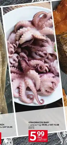 Selgros Ośmiorniczki baby oferta