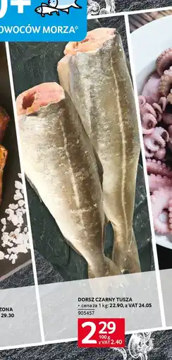 Selgros Dorsz czarny tusza oferta