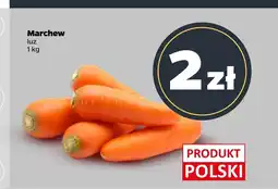 Netto Marchew Polski oferta