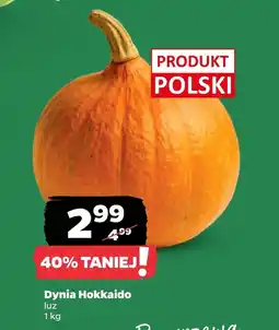Netto Dynia Polski oferta