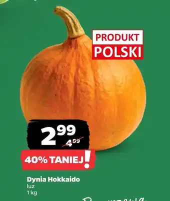 Dynia Polski