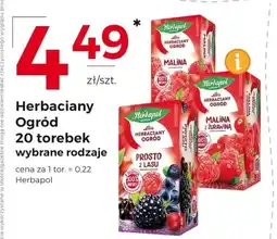 Frac Herbata Herbapol oferta