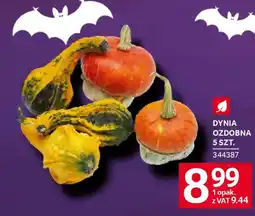 Selgros Dynia ozdobna oferta