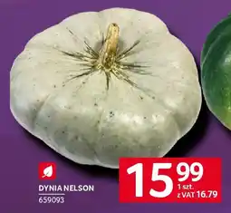 Selgros Dynia nelson oferta