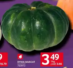 Selgros Dynia muscat oferta