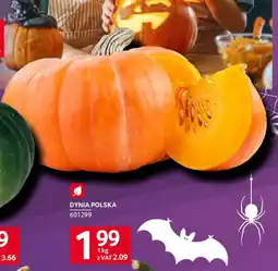 Selgros Dynia polska oferta