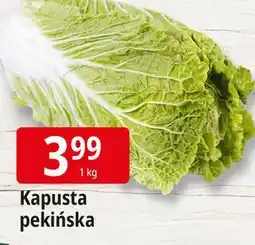 E.Leclerc Kapusta pekińska oferta