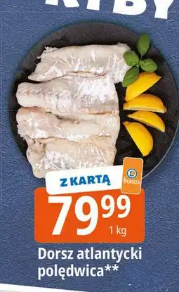 E.Leclerc Dorsz atlantycki - polędwica oferta