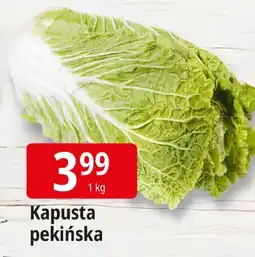 E.Leclerc Kapusta pekińska Leclerc oferta