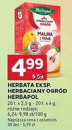 Stokrotka Herbata Herbapol różne rodzaje oferta