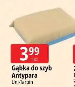 E.Leclerc Gąbka do szyb anty-para Nigrin oferta