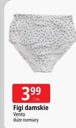 E.Leclerc Figi damskie mama size Vento oferta