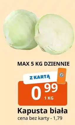 E.Leclerc Kapusta biała oferta