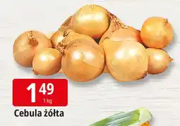 E.Leclerc Cebula żółta oferta