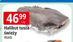 E.Leclerc Halibut Waldi oferta