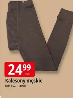 E.Leclerc Kalesony męskie oferta