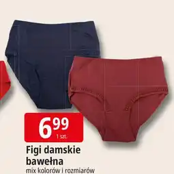 E.Leclerc Figi damskie oferta