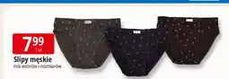 E.Leclerc Slipy męskie oferta