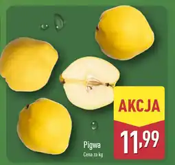 ALDI Pigwa Aldi oferta