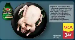 ALDI Gęś owsiana Drosed oferta
